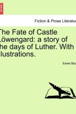 The Fate of Castle L Wengard af Esm Stuart