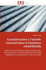 Caract risation   L  chelle Nanom trique D Interfaces M tal/Sioxny af Jarrige-I