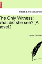 The Only Witness af Edward J Goodman