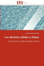 Les D chets Solides   Dakar af Diawara-A