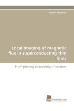 Local Imaging of Magnetic Flux in Superconducting Thin Films af Tetyana Shapoval