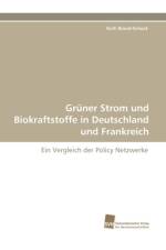 Gruner Strom Und Biokraftstoffe in Deutschland Und Frankreich af Ruth Brand-Schock