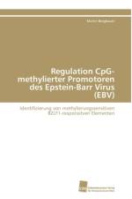 Regulation CpG-methylierter Promotoren des Epstein-Barr Virus (EBV) af Bergbauer Martin