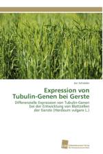 Expression von Tubulin-Genen bei Gerste af Schroeder Jan