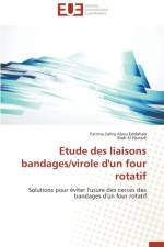 Etude Des Liaisons Bandages/Virole d'Un Four Rotatif af Collectif