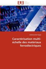 Caract risation Multi- chelle Des Mat riaux Ferro lectriques af Hajjaji-A