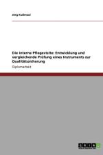 Interne Pflegevisite. Ein Instrument Zur Qualitatssicherung. Entwicklung Und Vergleichende Prufung. af J Rg Ku Maul