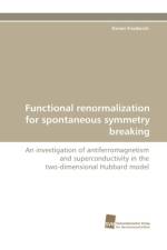 Functional renormalization for spontaneous symmetry breaking af Simon Friederich