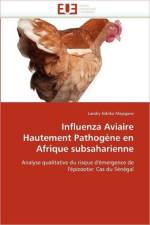 Influenza Aviaire Hautement Pathog ne En Afrique Subsaharienne af Ndriko Mayigane-L