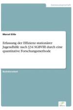 Erfassung der Effizienz stationarer Jugendhilfe nach 34 SGBVIII durch eine quantitative Forschungsmethode af Marcel Eitle