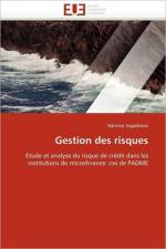 Gestion Des Risques af Soglohoun-N