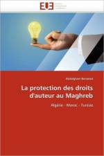 La Protection Des Droits d''auteur Au Maghreb af Benaired-A