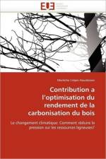 Contribution a l''optimisation Du Rendement de la Carbonisation Du Bois af Hounlonon-M