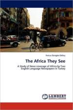 The Africa They See af Festus Oziegbe Odiley