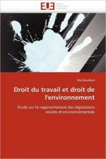 Droit Du Travail Et Droit de l'Environnement af Bouillard-E