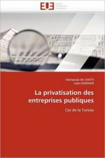 La Privatisation Des Entreprises Publiques af Collectif