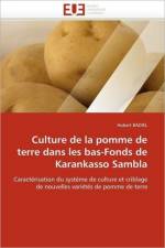 Culture de la pomme de terre dans les bas-fonds de karankasso sambla af Badiel-H