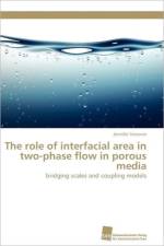 role of interfacial area in two-phase flow in porous media af Niessner Jennifer