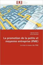 Promotion de la Petite Et Moyenne Entreprise (Pme) af Collectif