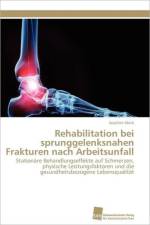 Rehabilitation Bei Sprunggelenksnahen Frakturen Nach Arbeitsunfall af Joachim Merk