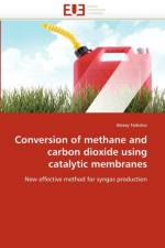 Conversion of methane and carbon dioxide using catalytic membranes af Fedotov-A