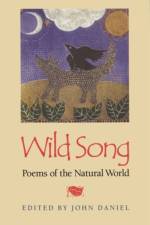 Wild Song