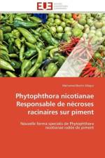 Phytophthora nicotianae responsable de necroses racinaires sur piment af Allagui-M