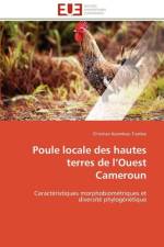 Poule locale des hautes terres de l ouest cameroun af Tiambo-C