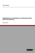 Smart Metering. Effizienzpotentiale Erschliessen. af Oliver Schaloske