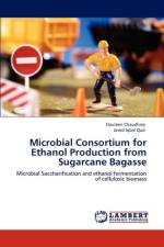 Microbial Consortium for Ethanol Production from Sugarcane Bagasse af Javed Iqbal Qazi