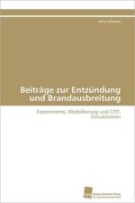 Beitrage zur Entzundung und Brandausbreitung af Schjerve Nina