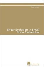Shear Evolution in Small Scale Avalanches af Schaefer Marius