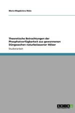 Theoretische Betrachtungen Der Phosphatverfugbarkeit Aus Gewonnenen Dungeaschen Naturbelassener Holzer af Maria-Magdalena Matz