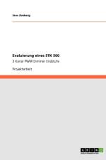 Evaluierung eines STK 500 af Jens Amberg
