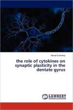 Role of Cytokines on Synaptic Plasticity in the Dentate Gyrus af Derval Cumiskey