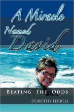 Miracle Named David