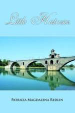 Little Histories af Patricia Magdalena Redlin