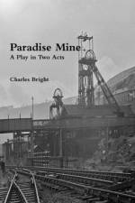 Paradise Mine