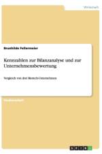 Kennzahlen zur Bilanzanalyse und zur Unternehmensbewertung af Brunhilde Fellermeier