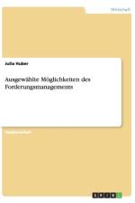 Ausgewahlte Moglichkeiten Des Forderungsmanagements af Julia Huber