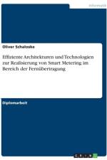 Effiziente Architekturen Und Technologien Zur Realisierung Von Smart Metering Im Bereich Der Fernubertragung af Oliver Schaloske