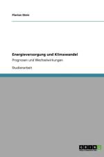 Energieversorgung Und Klimawandel af Florian Stein