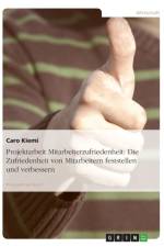 Projektarbeit Mitarbeiterzufriedenheit af Caro Kiemi