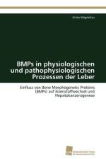 BMPs in physiologischen und pathophysiologischen Prozessen der Leber af Magdefrau Ulrike