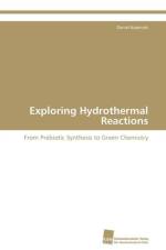 Exploring Hydrothermal Reactions af Kopetzki Daniel