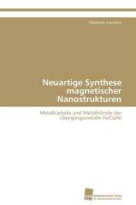 Neuartige Synthese magnetischer Nanostrukturen af Kraupner Alexander