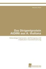 Dirigentprotein AtDIR6 aus A. thaliana af Pickel Benjamin