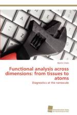 Functional analysis across dimensions af Stolz Martin
