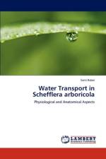 Water Transport in Schefflera Arboricola af Sami Rabei