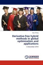 Derivative-Free Hybrid Methods in Global Optimization and Applications af Jiapu Zhang
